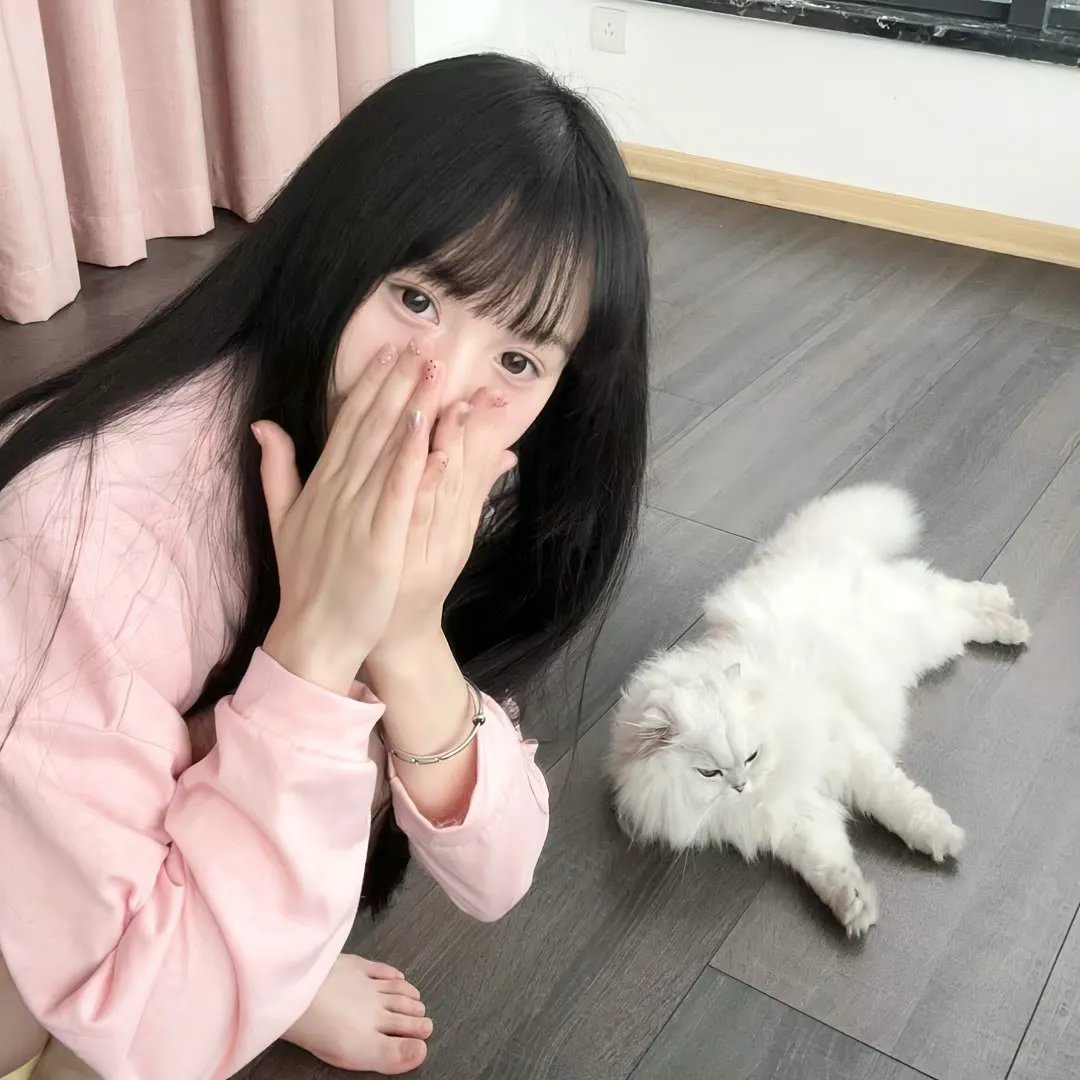 花游记